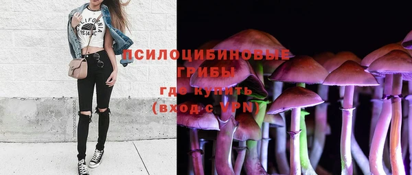 первитин Бородино
